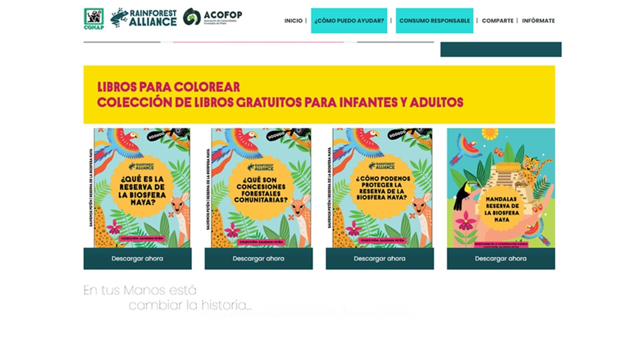 Libros de colorear promueven conceptos para salvaguardar la Reserva de la Biosfera Maya